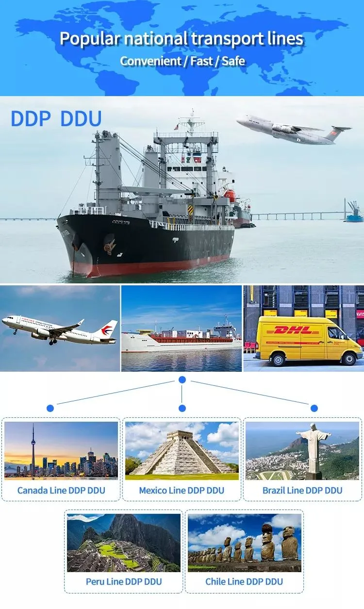 Sea Freight Cargo Shipping Cost China to Dubai UAE/Mexico/USA