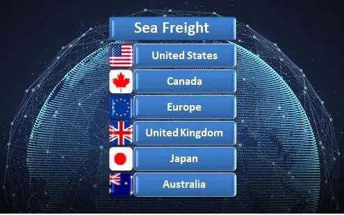 Sea Cargo Service Shipping Forwarder Dedicated Fba Amazon Line Freight Forwarder From China to USA/Europe Logistics Agent