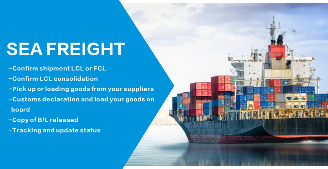 Freight Forwarder Sea Freight Express Freight Forwarder Ocean Delivery Forwarder Sea Shipping LCL Shipping Agent