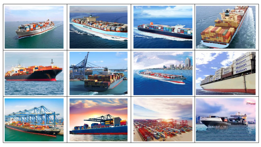 Handling Charge Sea Freight Door to Door Shipping Agent
