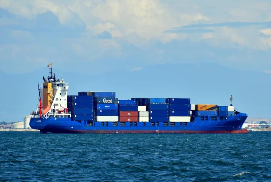 Professioneller Seefracht-Versandservice von China Sea Shipping Agent mit Warehousing Fullfillment Service DDP LCL