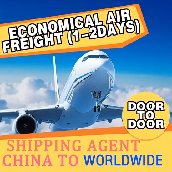 Tür-zu-Tür-Service, internationale Spedition, Seefracht-Versandkosten aus Shenzhen, China