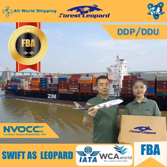 Günstige DDP-Versandtarife für Luft-/Seefrachtdienste, FBA-Amazon-Spediteur von China nach USA/Europa/Großbritannien/Kanada, Logistikagent