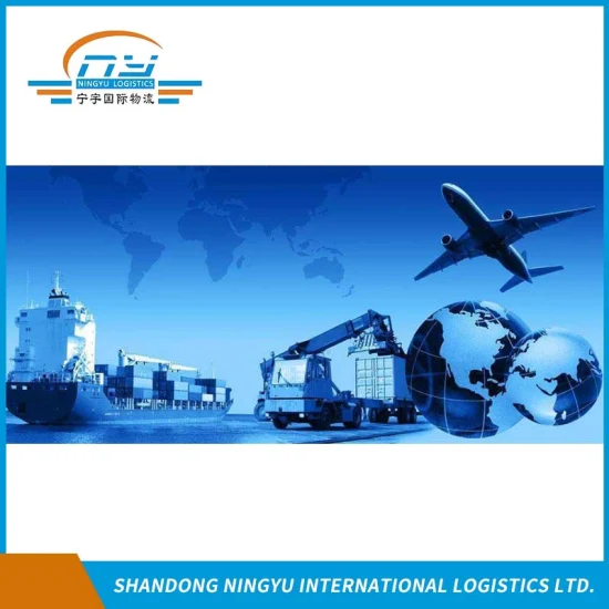 Professioneller Frachtagent / Erfahrener Logistikdienstleister / Containertransport von China nach Australien per See-/Luftweg